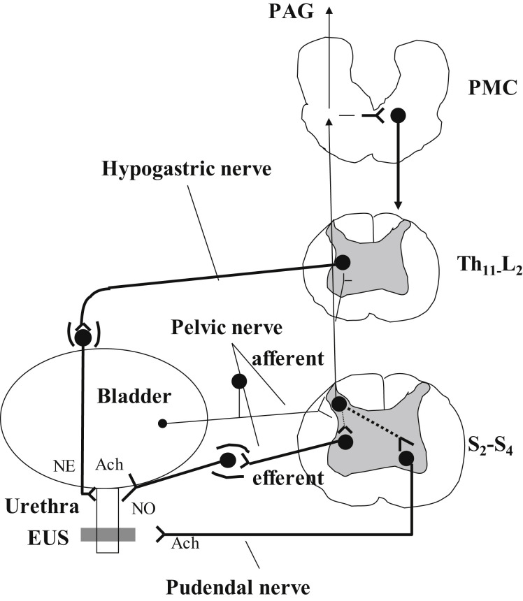 Fig. 2