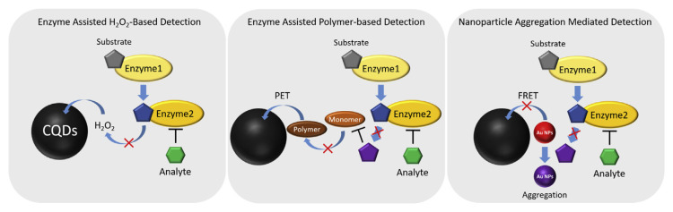 Scheme 2