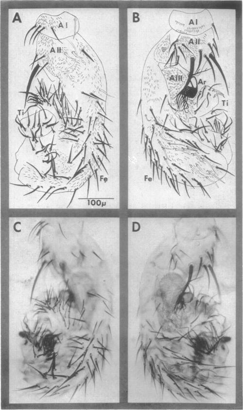 graphic file with name pnas00111-0193-a.jpg