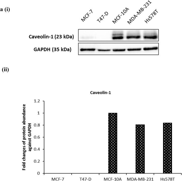 Supplementary Fig. S6