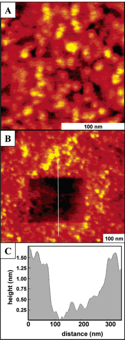 Figure 5.