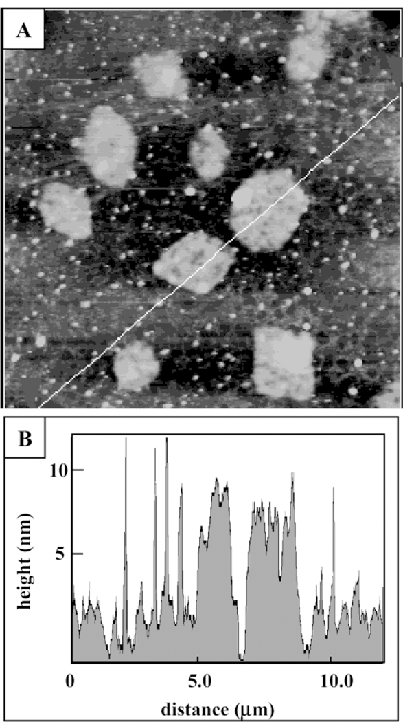 Figure 6.