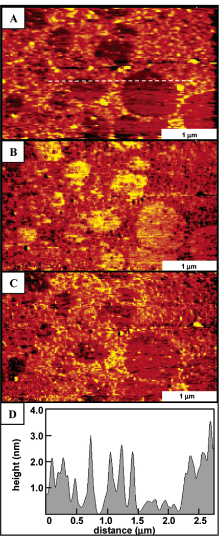 Figure 4.