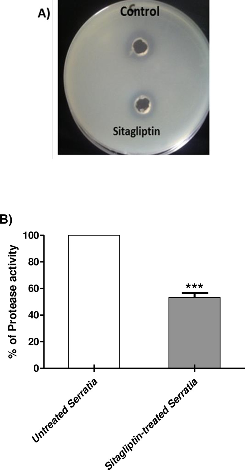 Fig 6