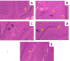 Fig. 13
