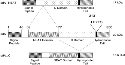 FIG. 7.