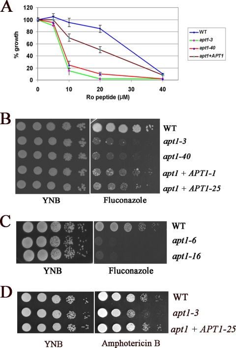 FIG. 9.