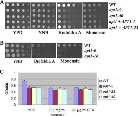 FIG. 8.