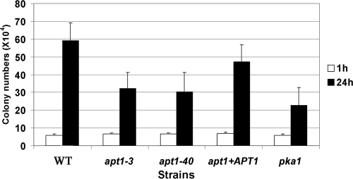 FIG. 4.