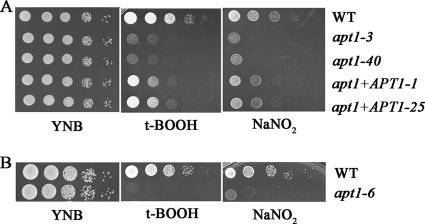 FIG. 3.