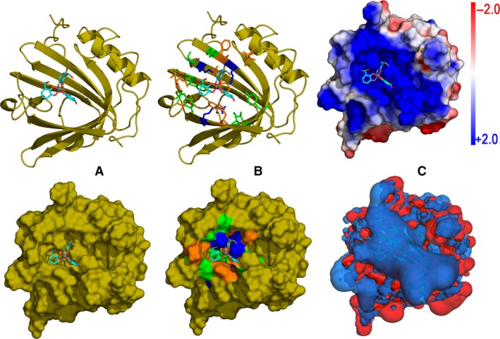 Figure 4