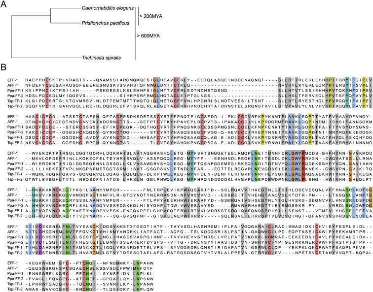 Figure 2