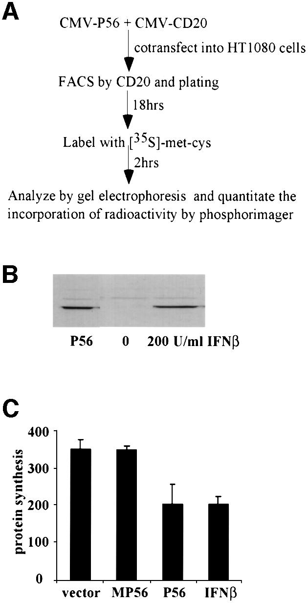 graphic file with name cdd656f6.jpg