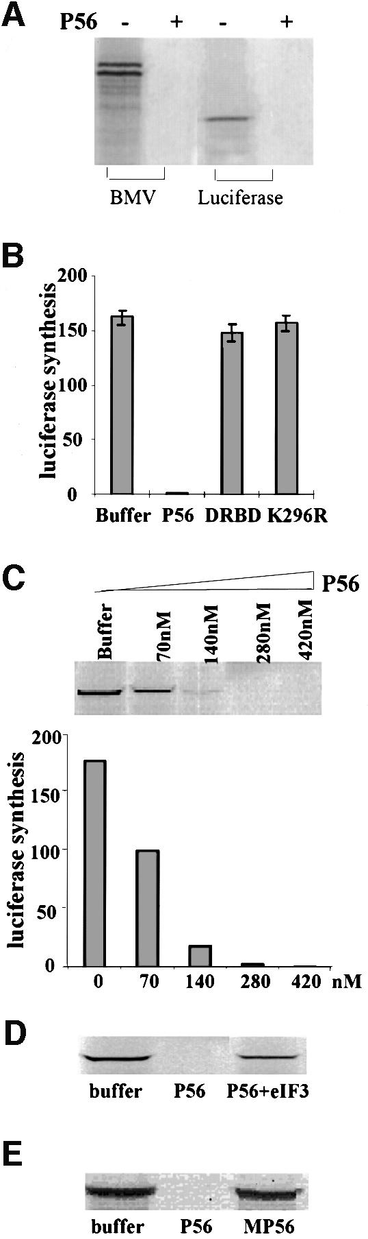 graphic file with name cdd656f4.jpg