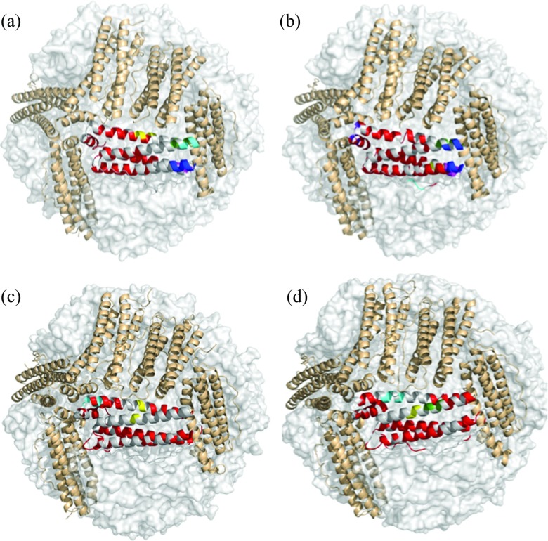 Figure 4