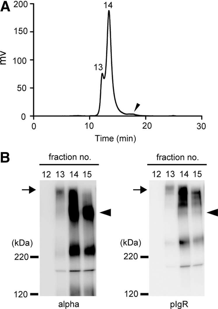 FIG. 5.