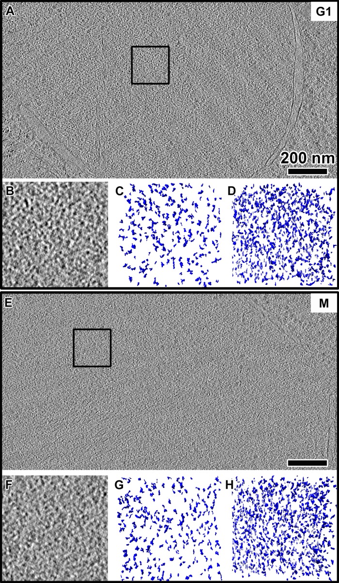 FIGURE 3: