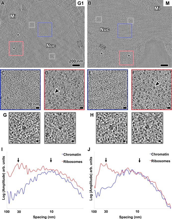 FIGURE 2: