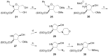 Scheme 5