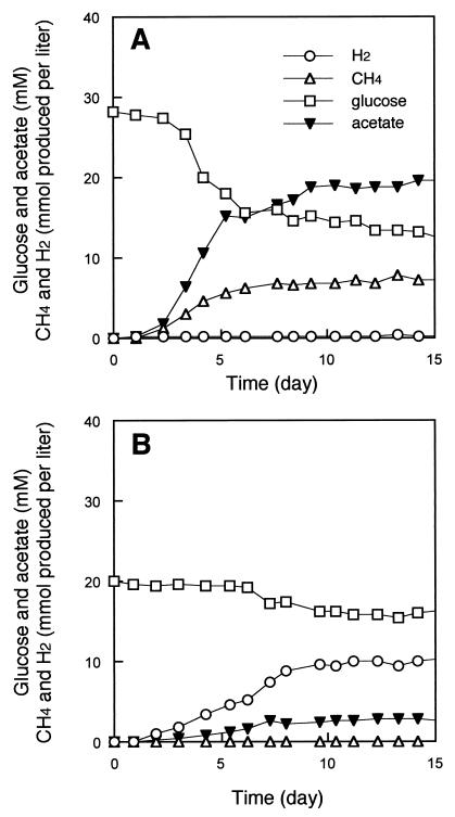 FIG. 6