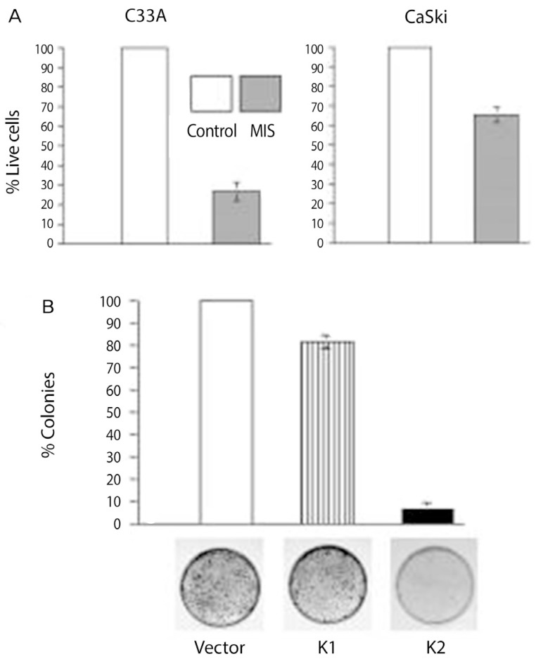 Fig. 8