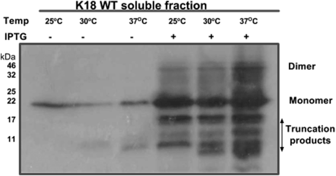 Fig. 3