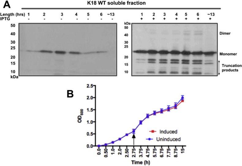 Fig. 4