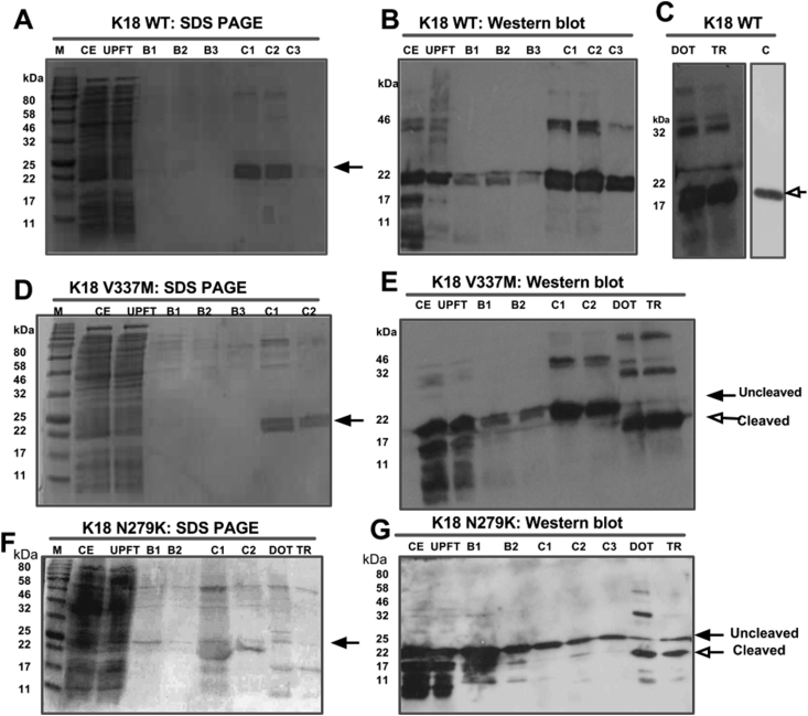 Fig. 6