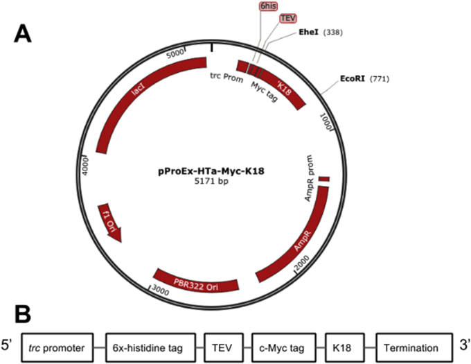 Fig. 1