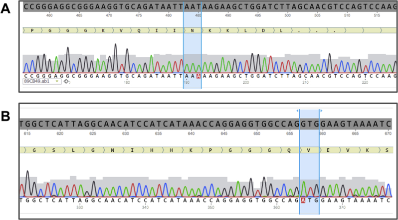 Supplementary Fig. 1