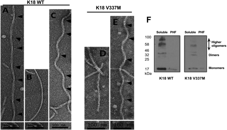 Fig. 9