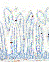 Figures 8.