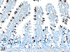Figure 38.