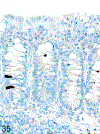 Figure 35.