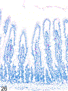 Figure 26.