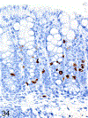 Figure 34.