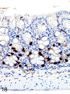 Figure 18.