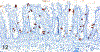 Figure 12.
