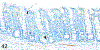 Figure 42.