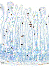 Figure 31.