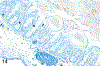 Figure 14.