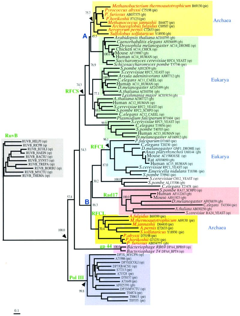 FIG. 7