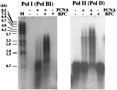 FIG. 6