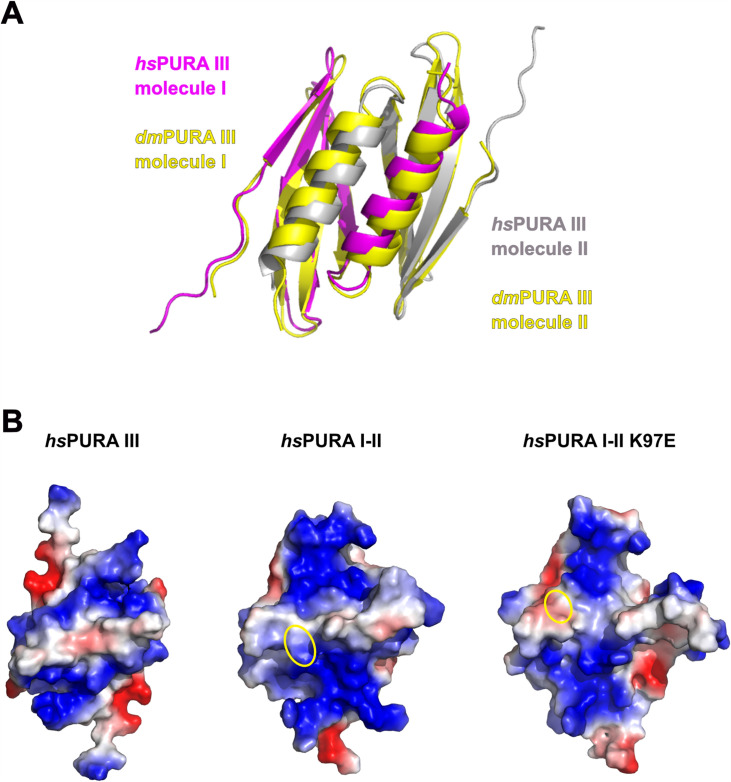 Figure 3—figure supplement 1.