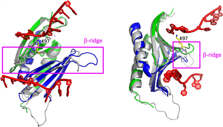 Figure 3—figure supplement 2.