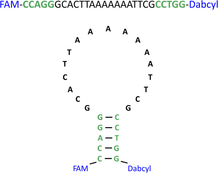 Figure 3—figure supplement 3.