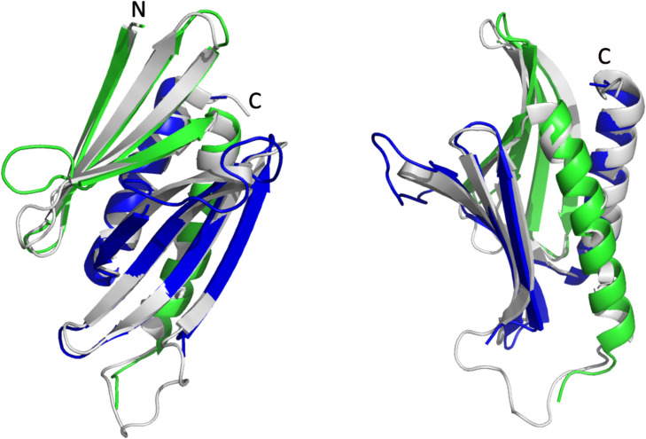 Figure 4—figure supplement 1.