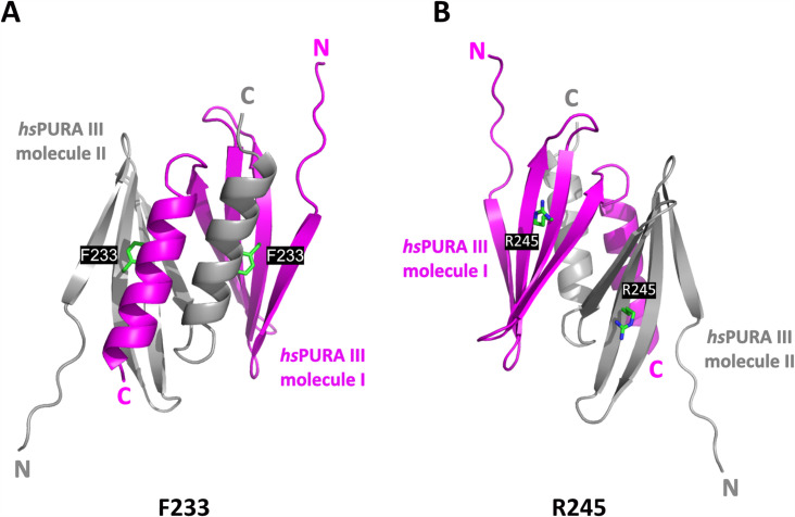 Figure 3—figure supplement 4.