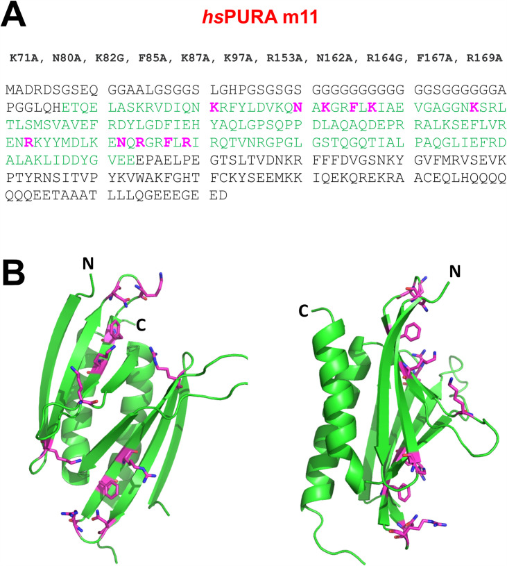 Figure 1—figure supplement 2.