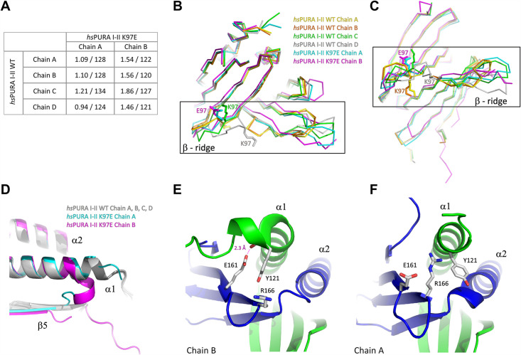 Figure 5—figure supplement 2.